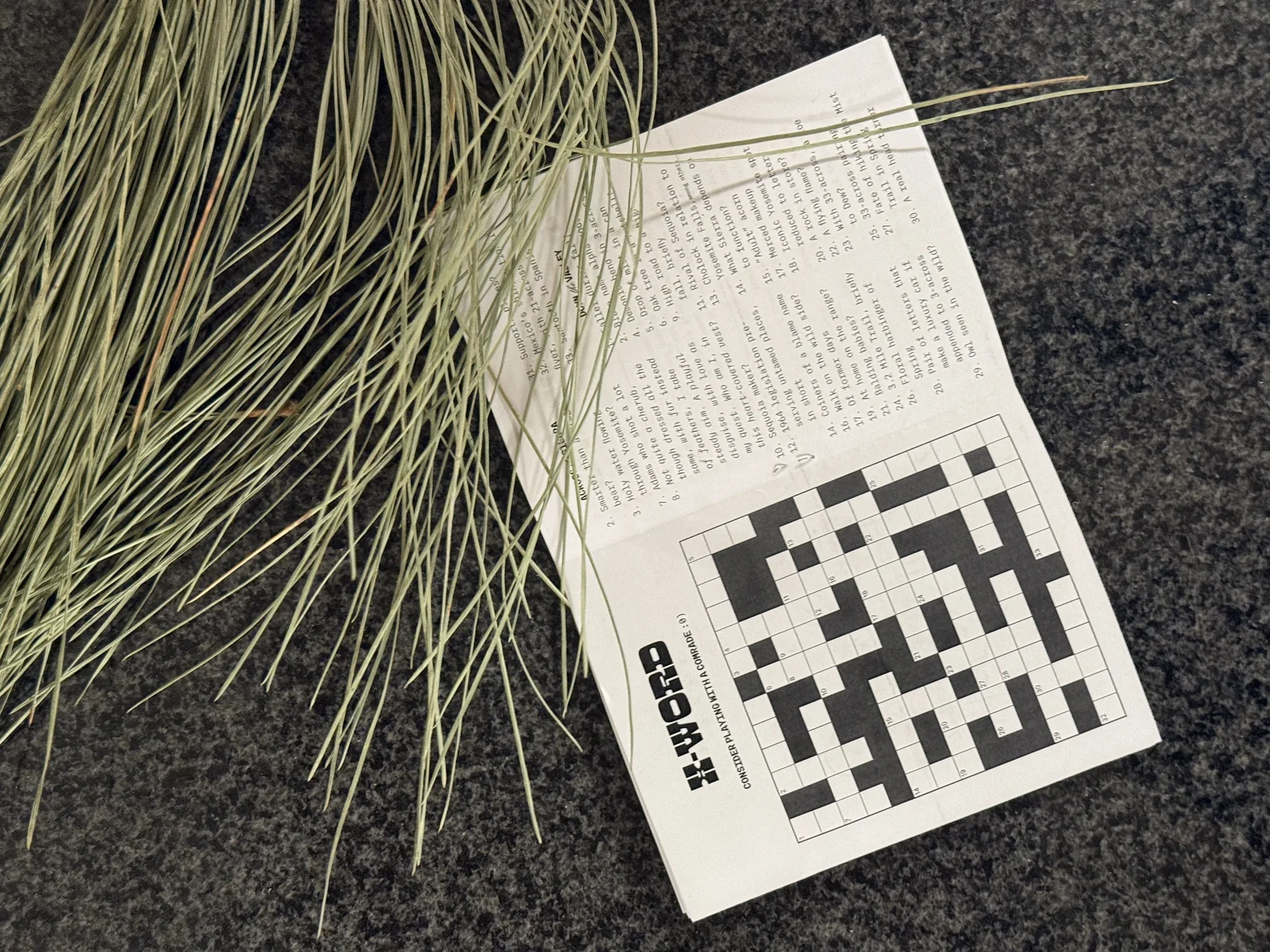 Galen-tines Zine: Crossword