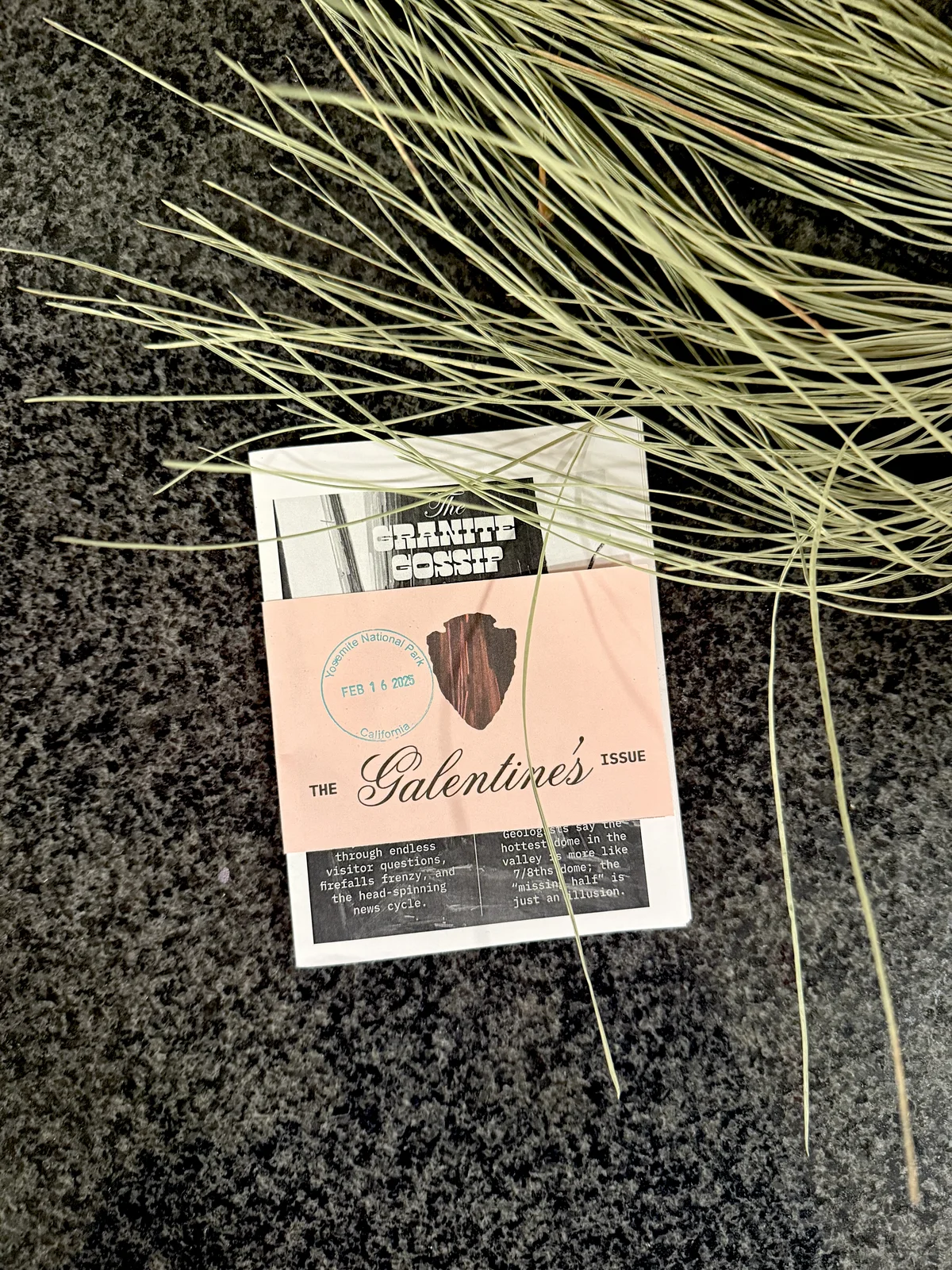 Galen-tines Zine: Zine in the Field
