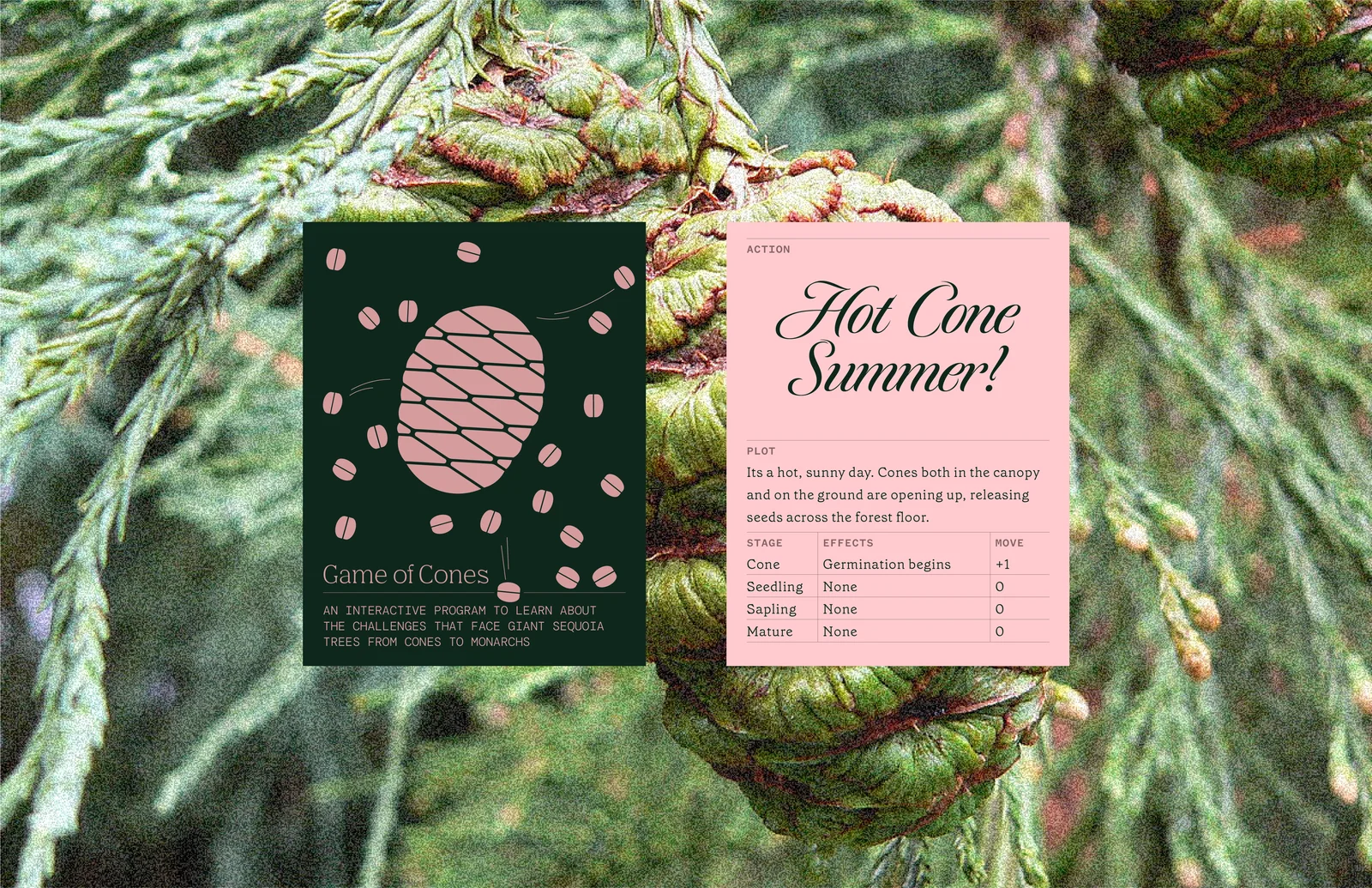 Game of Cones: Hot Cone Summer Card, Front and Back