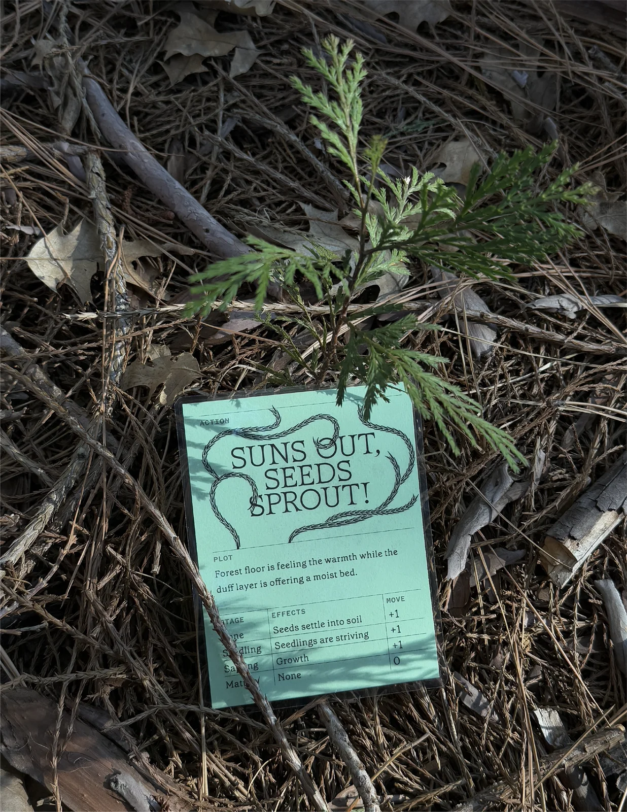 Game of Cones: Suns Out, Seeds Sprout Card