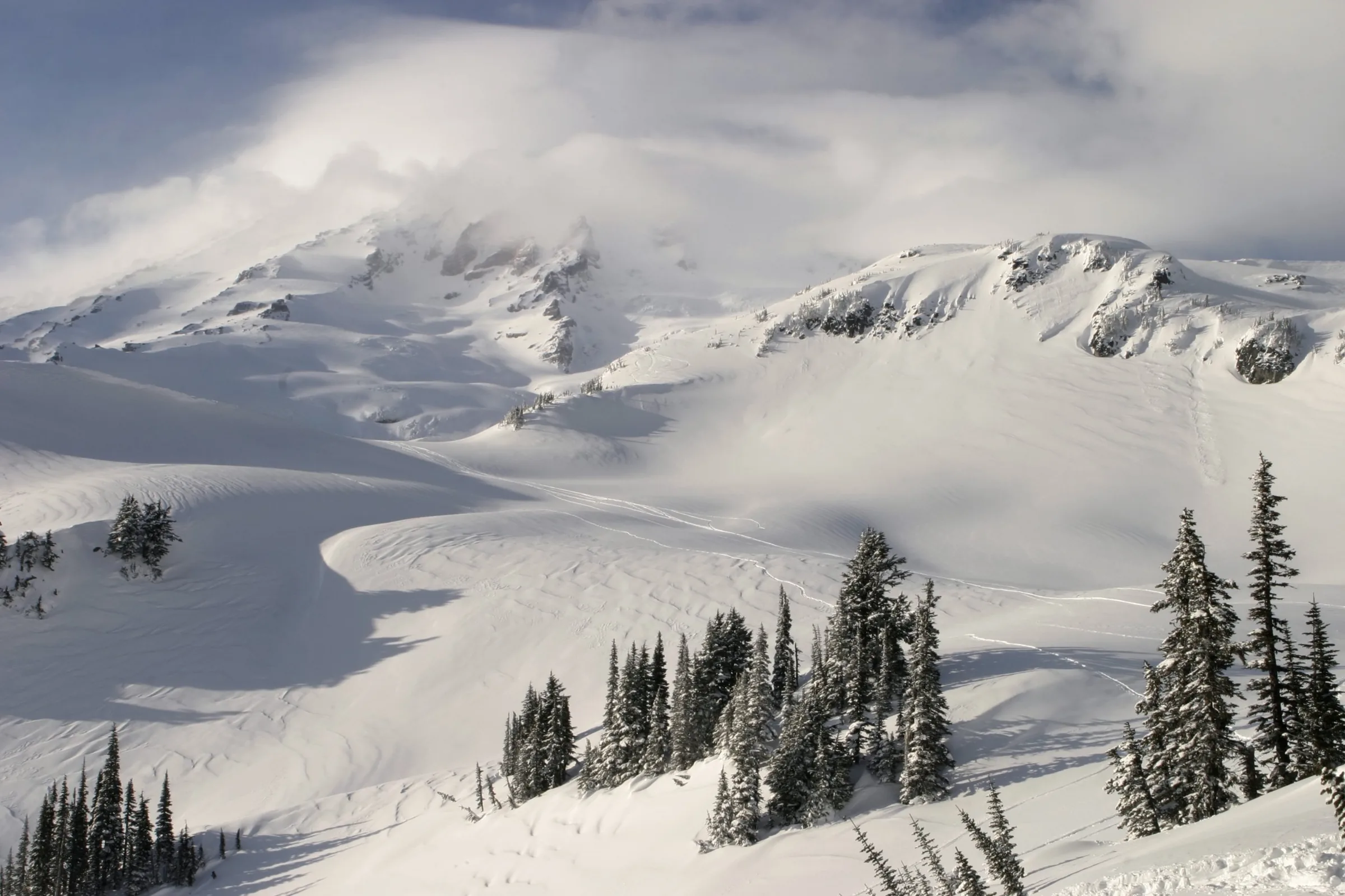 Mountain as a Muse: Paradise Snow Day
