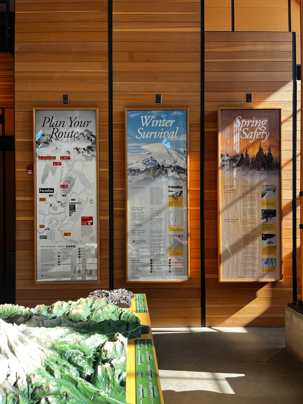 Mount Rainier Visitor Center Winter and Spring Panels, image 5