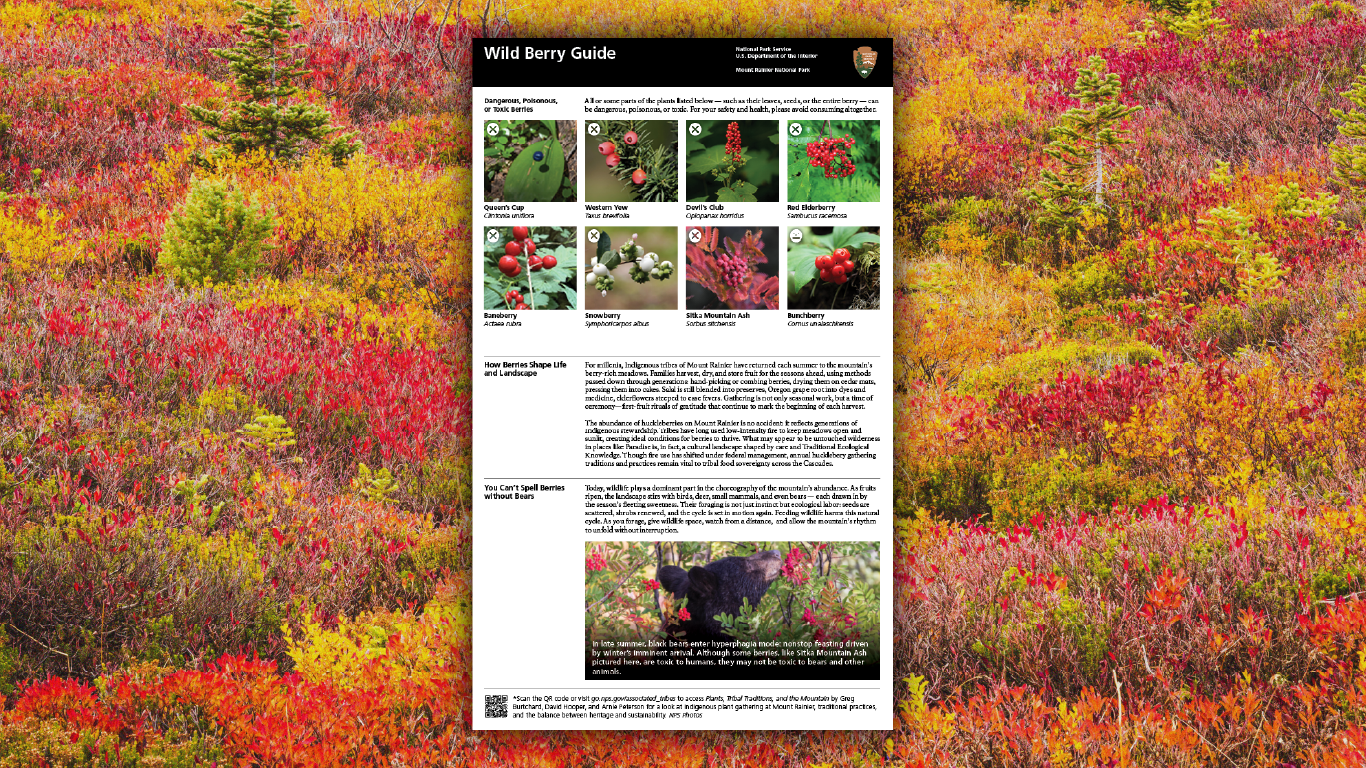 Wild Berry Guide, image 2