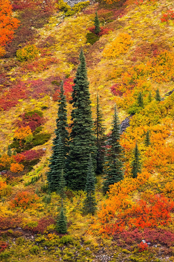 Mountain as a Muse, image 3